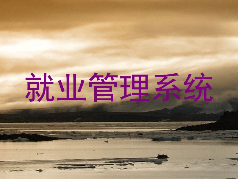 就业管理系统