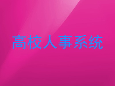 高校人事系统