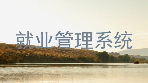 就业管理系统