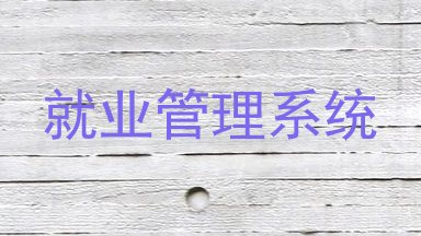 就业管理系统