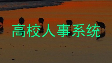 高校人事系统