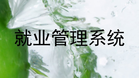 就业管理系统