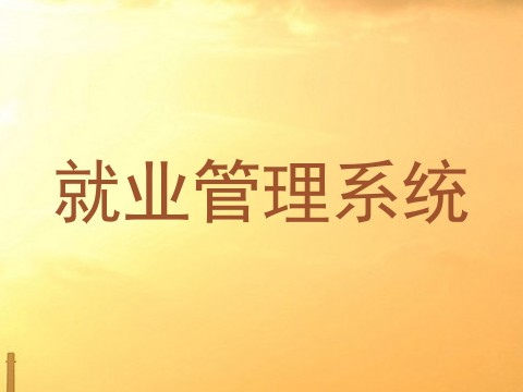 就业管理系统