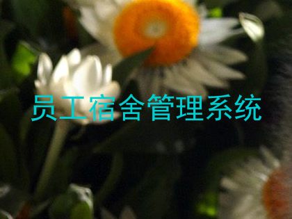 员工宿舍管理系统