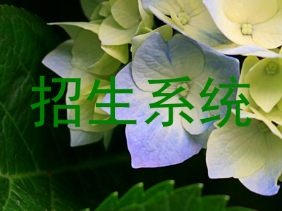 招生系统