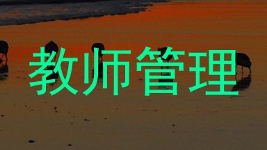 教师管理