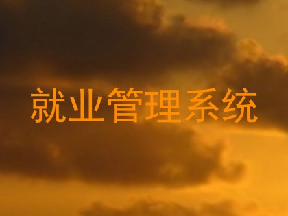 就业管理系统