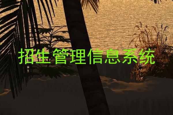 招生管理信息系统