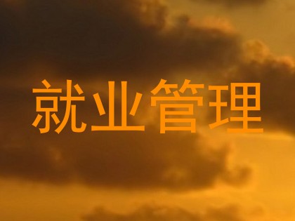 就业管理