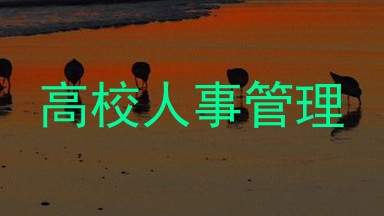 高校人事管理