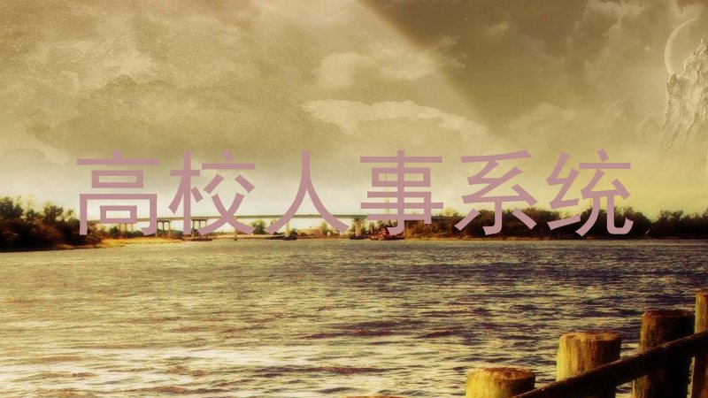 高校人事系统
