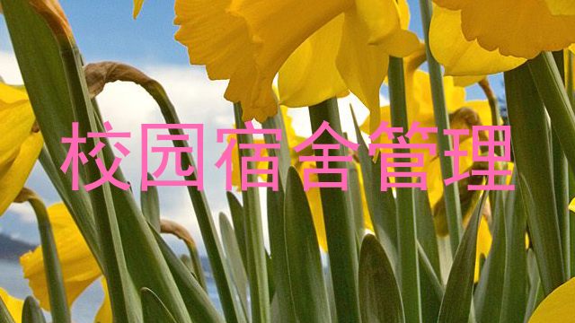 校园宿舍管理