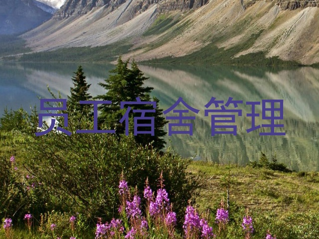 员工宿舍管理