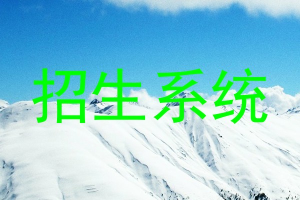 招生系统