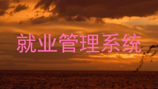 就业管理系统