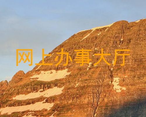 网上办事大厅