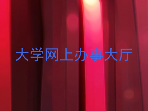 大学网上办事大厅