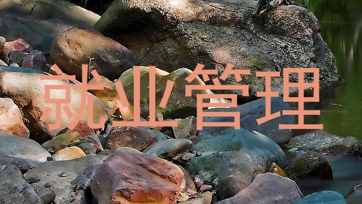 就业管理