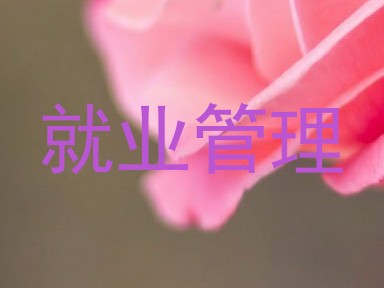 就业管理
