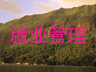 就业管理