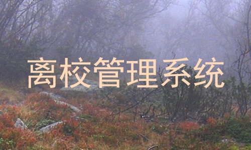 离校管理系统