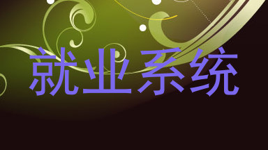就业系统