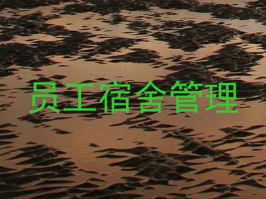 员工宿舍管理