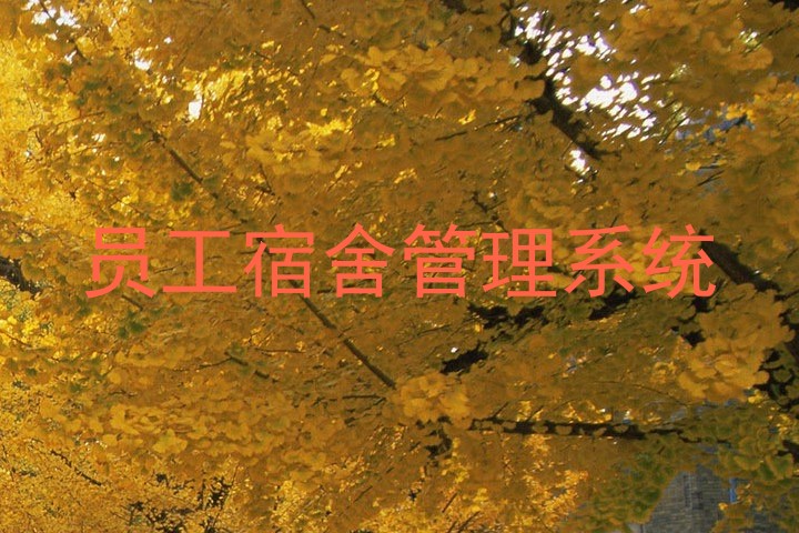 员工宿舍管理系统