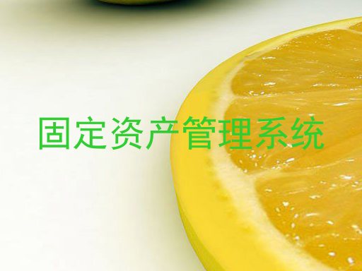 固定资产管理系统