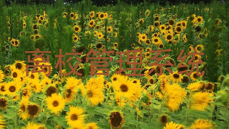 离校管理系统