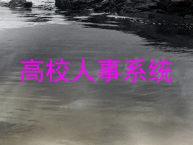 高校人事系统