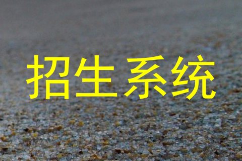招生系统