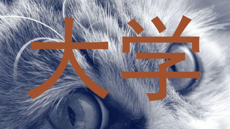 大学