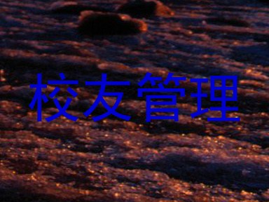 校友管理