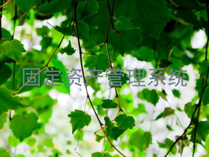 固定资产管理系统