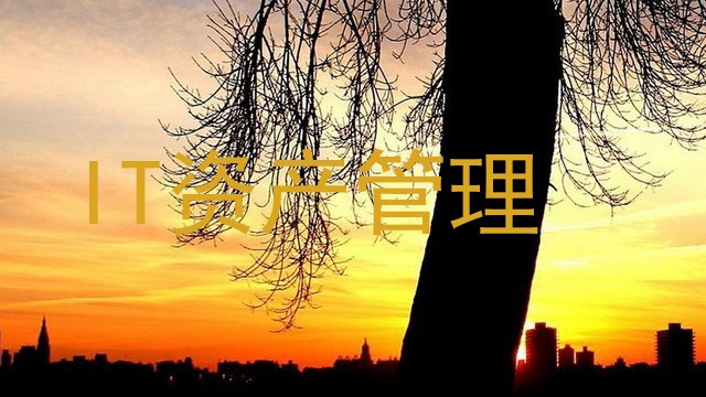 IT资产管理