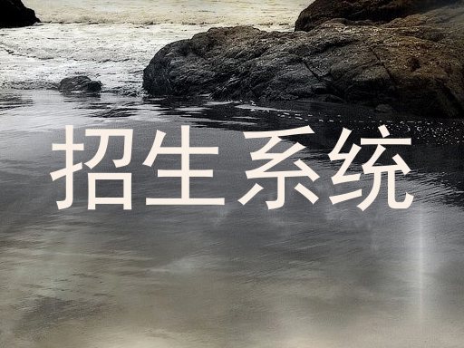 招生系统