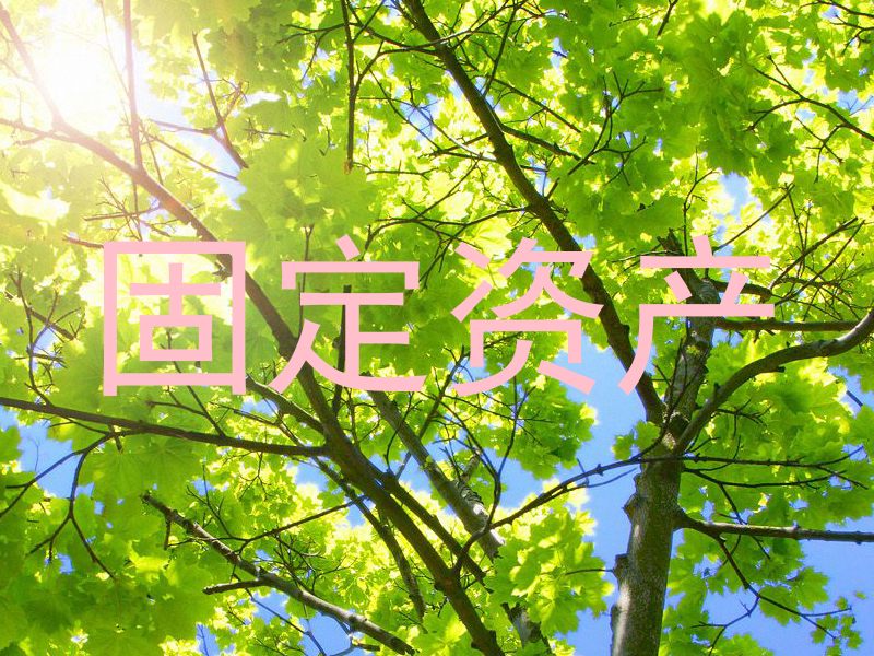固定资产