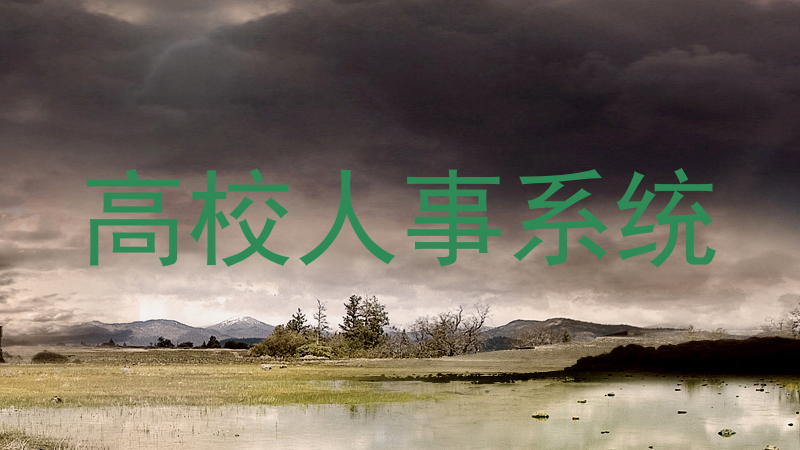 高校人事系统