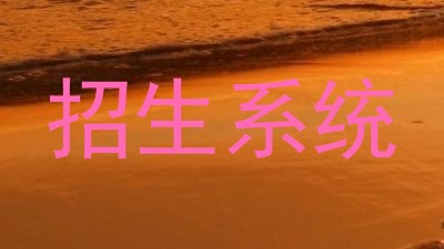 招生系统