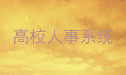 高校人事系统