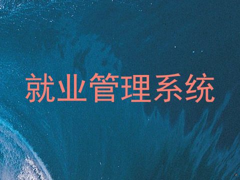 就业管理系统