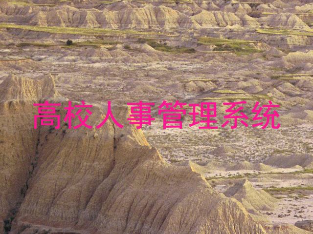 高校人事管理系统