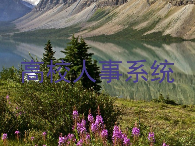 高校人事系统