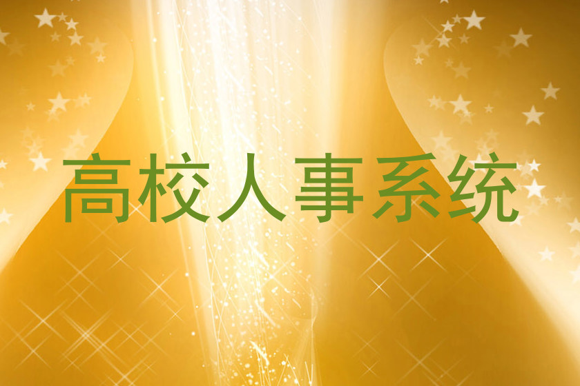 高校人事系统