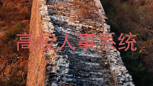 高校人事系统