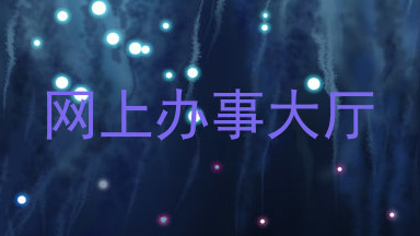 网上办事大厅