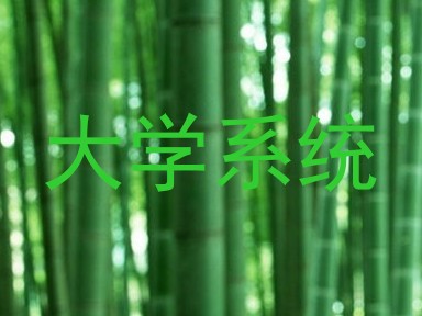 大学系统