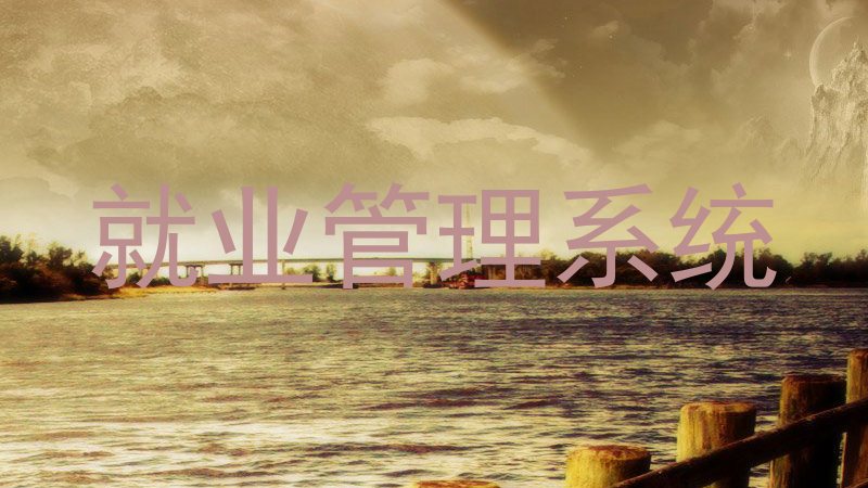就业管理系统