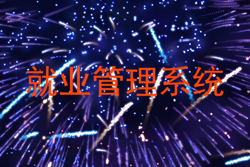 就业管理系统